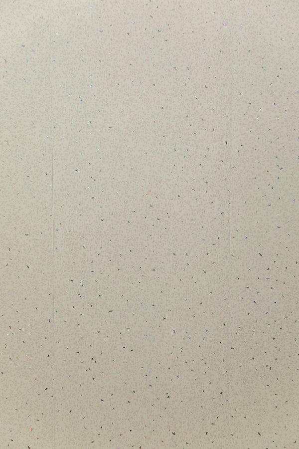 Beige Sparkle 250mm x 2.6m Wall Panel